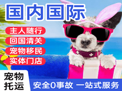 三沙空运国际宠物托运 【国