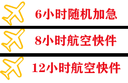 三沙空运快递公司,专业空运当天件